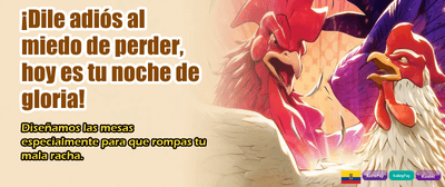 Apuestas rápidas y seguras